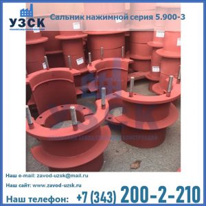 Сальники нажимные серия 5.900-3 в Саранске